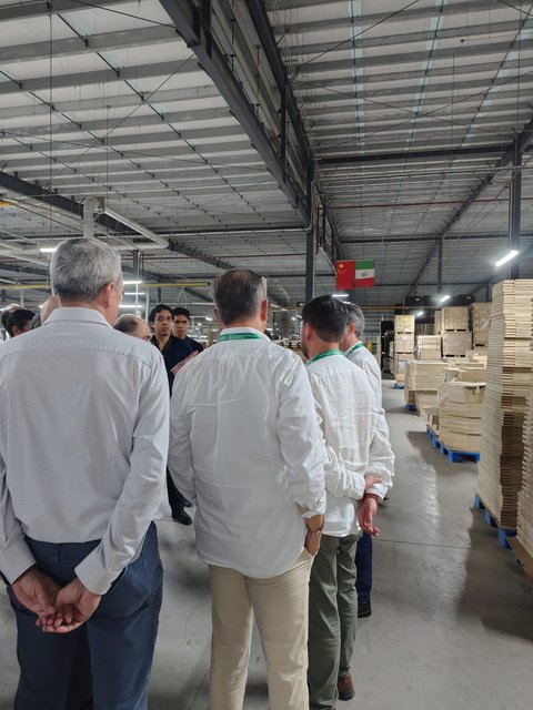Recorrido por la planta Woodgenix