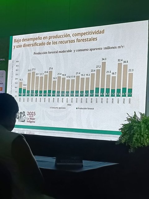 Producción y consumo de madera en México
